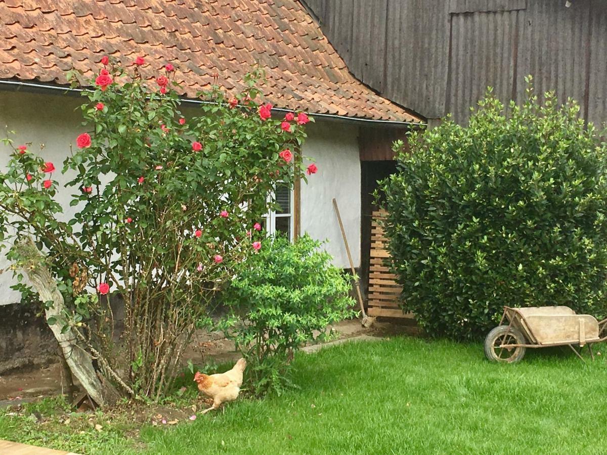 La Fermette De Jules Guest House Fressin Luaran gambar